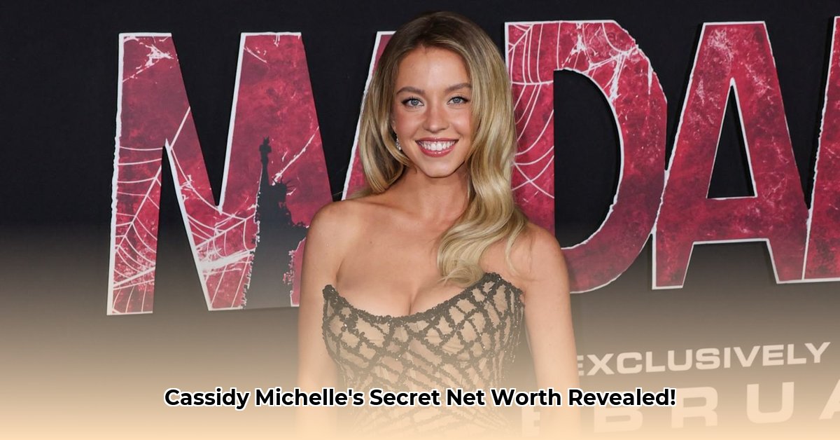 cassidy-michelle-net-worth
